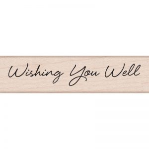 Hero Arts Mounted Rubber Stamps .5″X3″ – Little Greetings Wishing You Well
