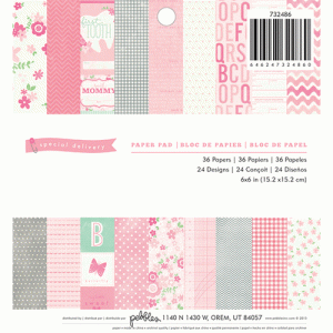 Pebbles – 6 x 6 Paper Pad – Special Delivery ? Girl